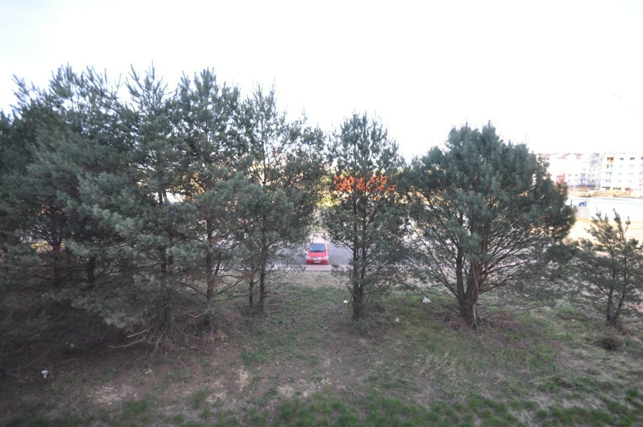 זיילונה גאורה Apartament Zlota Lacza מראה חיצוני תמונה